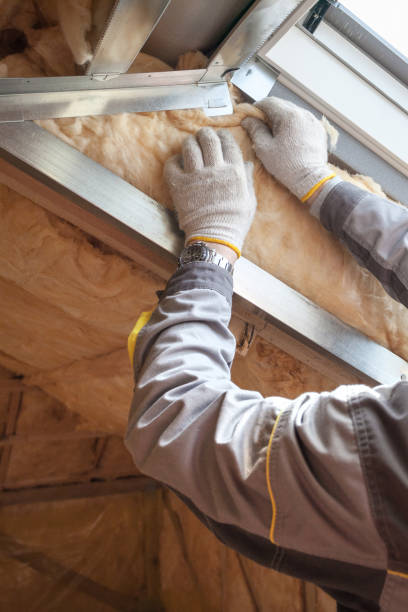 Best Insulation Installation Services in Clark, SD
